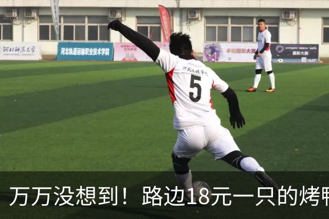 万万没想到！路边18元一只的烤鸭，用的居然是这种鸭子，能吃吗？