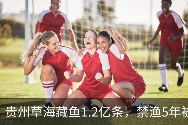 贵州草海藏鱼1.2亿条，禁渔5年被啃成秃海！长江能重蹈覆辙吗？